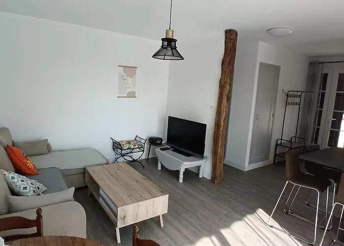 Maison Calme Et Arbore A Sur Ciel Cordes-sur-Ciel